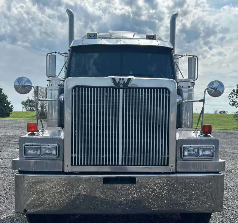2001 Western Star 4900 photo 2