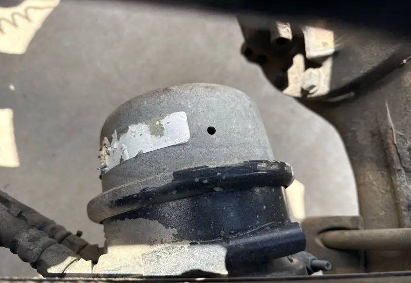 2019 Peterbilt 389 photo 88