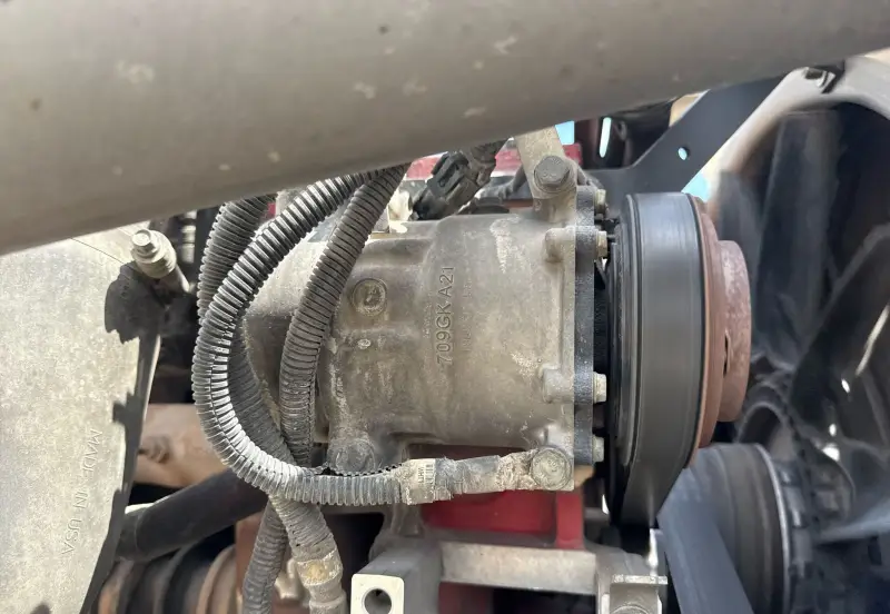 2019 Peterbilt 389 photo 71