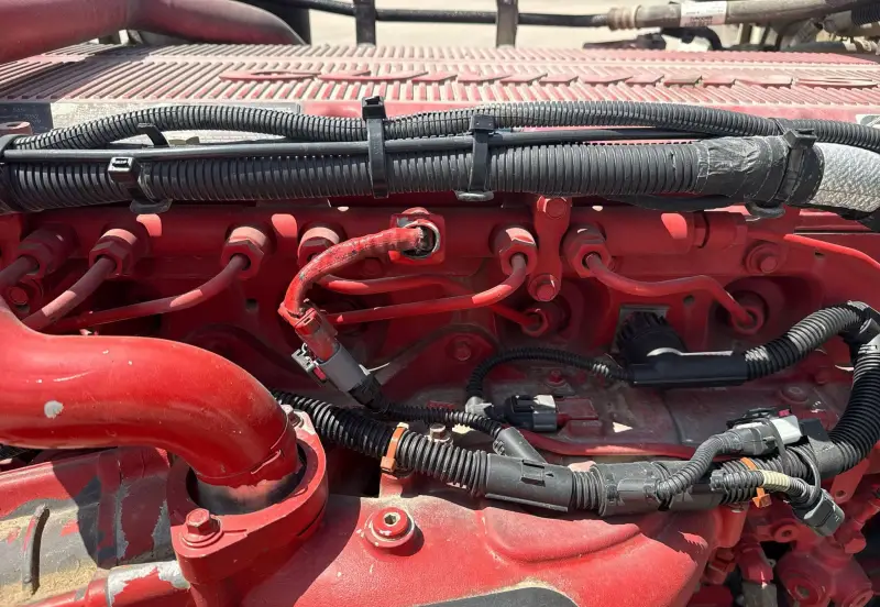 2019 Peterbilt 389 photo 60